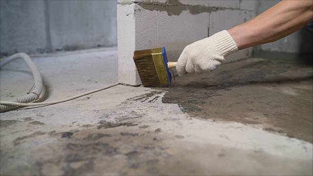 SJ Waterproofing Pros Waterproofing coverage map for Burton, SC and surrounding area